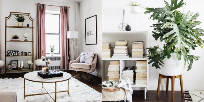 photo d'une decaration interieur de maison