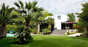 photo d'un jardin exotique